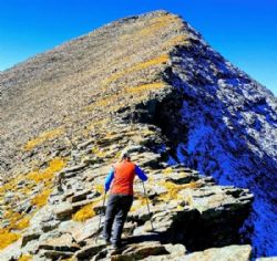 Betsy Carrigg Whitaker